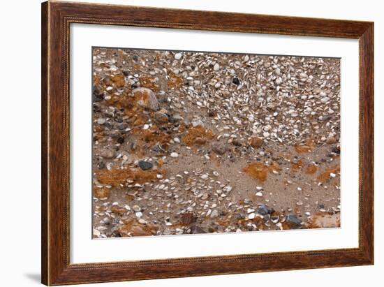 Usedom, Baltic Sea Beach, Escarpment with Sediment Layers-Catharina Lux-Framed Photographic Print