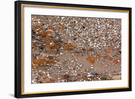 Usedom, Baltic Sea Beach, Escarpment with Sediment Layers-Catharina Lux-Framed Photographic Print