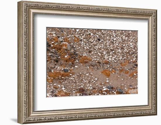 Usedom, Baltic Sea Beach, Escarpment with Sediment Layers-Catharina Lux-Framed Photographic Print