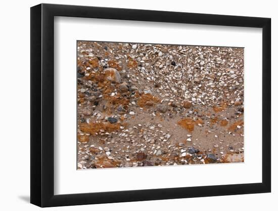 Usedom, Baltic Sea Beach, Escarpment with Sediment Layers-Catharina Lux-Framed Photographic Print