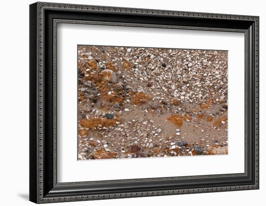 Usedom, Baltic Sea Beach, Escarpment with Sediment Layers-Catharina Lux-Framed Photographic Print