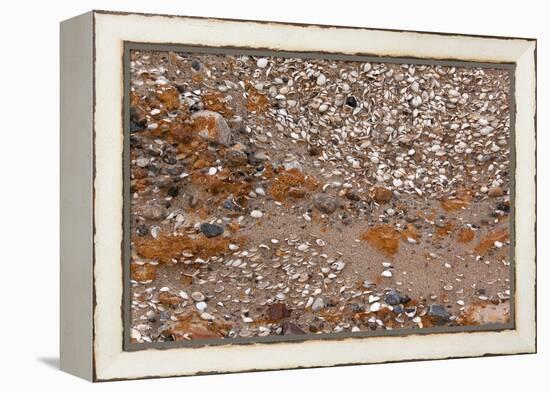 Usedom, Baltic Sea Beach, Escarpment with Sediment Layers-Catharina Lux-Framed Premier Image Canvas