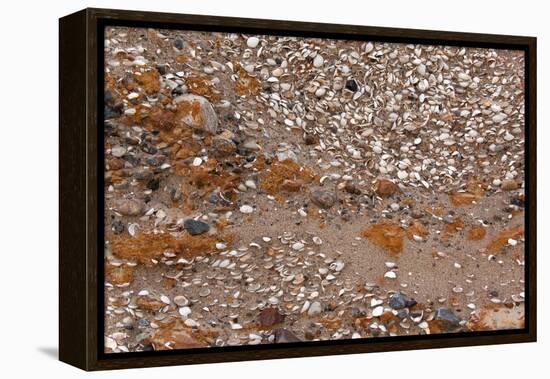 Usedom, Baltic Sea Beach, Escarpment with Sediment Layers-Catharina Lux-Framed Premier Image Canvas