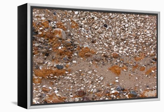 Usedom, Baltic Sea Beach, Escarpment with Sediment Layers-Catharina Lux-Framed Premier Image Canvas