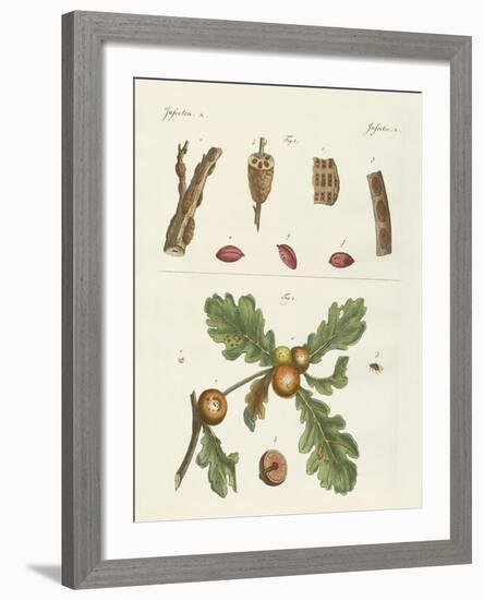 Useful Insects-null-Framed Giclee Print
