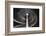 Usher Hall-Renate Reichert-Framed Photographic Print