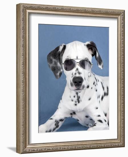 Usher-Rachael Hale-Framed Photographic Print