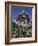 Uspenski Cathedral, Helsinki, Finland, Scandinavia, Europe-Dallas & John Heaton-Framed Photographic Print