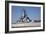 USS Alabama (BB-60), Mobile Bay, Alabama-Carol Highsmith-Framed Art Print