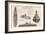 USS Arizona Battleship - Technical-Lantern Press-Framed Art Print