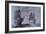 USS Constitution and HMS Java-null-Framed Giclee Print