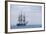 USS Constitution "Old Ironsides" Under Sail, Massachusetts Bay, Celebrating Its Bicentennial, 1997-null-Framed Photographic Print