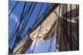 Premium Photographic Print