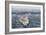 Uss George H.W. Bush Sails in the Atlantic Ocean-null-Framed Photographic Print