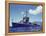 Uss Hamman During the Us Navy's Pacific Fleet Maneuvers Off of Hawaii-Carl Mydans-Framed Premier Image Canvas