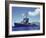 Uss Hamman During the Us Navy's Pacific Fleet Maneuvers Off of Hawaii-Carl Mydans-Framed Photographic Print