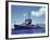 Uss Hamman During the Us Navy's Pacific Fleet Maneuvers Off of Hawaii-Carl Mydans-Framed Photographic Print