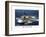 USS Midway - 1945 to 1997-null-Framed Art Print