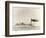 USS Shenandoah Airship And Tender-Miriam and Ira Wallach-Framed Photographic Print