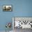 USS Submarines Shark and Porpoise-null-Framed Stretched Canvas displayed on a wall