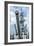 USS Wisconsin - Guns View-Lantern Press-Framed Art Print