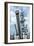 USS Wisconsin - Guns View-Lantern Press-Framed Art Print