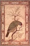 A Barbet (Himalayan Blue-Throated Bird) Jahangir Period, Mughal, 1615-Ustad Mansur-Framed Premier Image Canvas