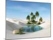 Premium Giclee Print