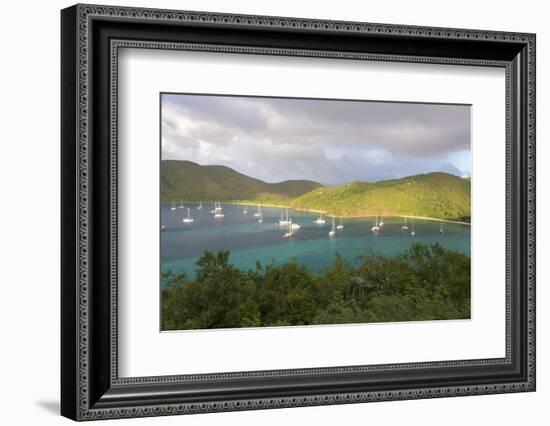 Usvi, St John. Maho Bay Popular Mooring Location and Snorkeling Site-Trish Drury-Framed Photographic Print