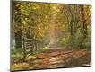 Photographic Print
