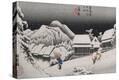 Stretched Canvas Print