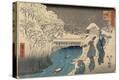 Stretched Canvas Print