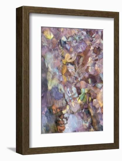 Utah. Abstract Design Formed by Water Rushing over Colorful River Rocks in Hunter Canyon, Moab-Judith Zimmerman-Framed Photographic Print