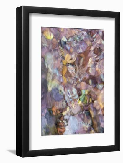 Utah. Abstract Design Formed by Water Rushing over Colorful River Rocks in Hunter Canyon, Moab-Judith Zimmerman-Framed Photographic Print