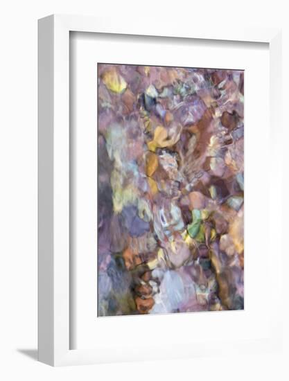 Utah. Abstract Design Formed by Water Rushing over Colorful River Rocks in Hunter Canyon, Moab-Judith Zimmerman-Framed Photographic Print
