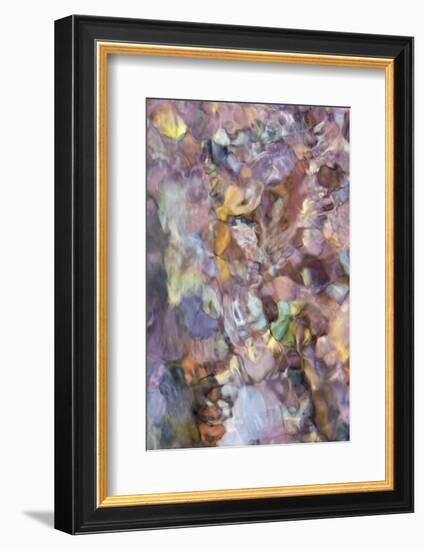 Utah. Abstract Design Formed by Water Rushing over Colorful River Rocks in Hunter Canyon, Moab-Judith Zimmerman-Framed Photographic Print
