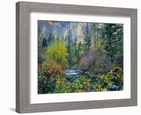 Utah. Along Logan River in Autumn. Logan Canyon. Uinta-Wasatch-Cache-Scott T^ Smith-Framed Photographic Print