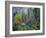 Utah. Along Logan River in Autumn. Logan Canyon. Uinta-Wasatch-Cache-Scott T^ Smith-Framed Photographic Print