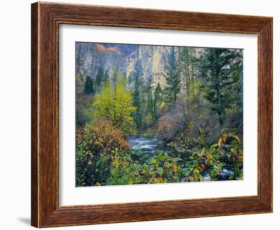 Utah. Along Logan River in Autumn. Logan Canyon. Uinta-Wasatch-Cache-Scott T^ Smith-Framed Photographic Print