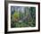 Utah. Along Logan River in Autumn. Logan Canyon. Uinta-Wasatch-Cache-Scott T^ Smith-Framed Photographic Print