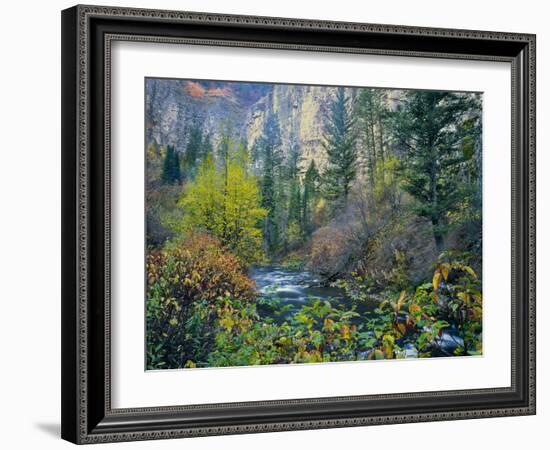 Utah. Along Logan River in Autumn. Logan Canyon. Uinta-Wasatch-Cache-Scott T^ Smith-Framed Photographic Print