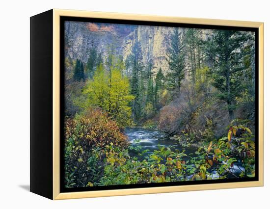 Utah. Along Logan River in Autumn. Logan Canyon. Uinta-Wasatch-Cache-Scott T^ Smith-Framed Premier Image Canvas