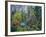 Utah. Along Logan River in Autumn. Logan Canyon. Uinta-Wasatch-Cache-Scott T^ Smith-Framed Photographic Print