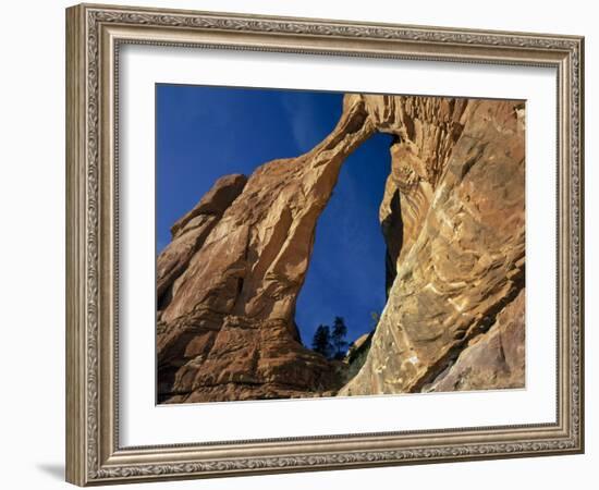 Utah. Angel Arch in Arch Canyon. Manti-Lasal NF. Great Canyonlands-Scott T. Smith-Framed Photographic Print