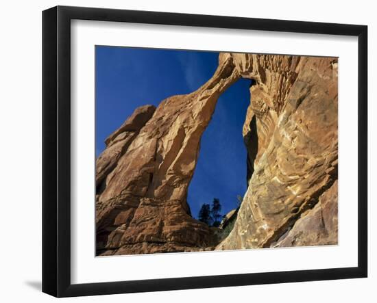 Utah. Angel Arch in Arch Canyon. Manti-Lasal NF. Great Canyonlands-Scott T. Smith-Framed Photographic Print