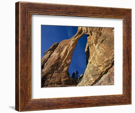 Utah. Angel Arch in Arch Canyon. Manti-Lasal NF. Great Canyonlands-Scott T. Smith-Framed Photographic Print