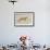 Utah, Antelope Island State Park, an Adult Coyote Wanders Through a Grassland-Elizabeth Boehm-Framed Photographic Print displayed on a wall