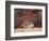 Utah, Arches National Park. an Abstract Sandstone Formation-Christopher Talbot Frank-Framed Photographic Print