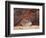 Utah, Arches National Park. an Abstract Sandstone Formation-Christopher Talbot Frank-Framed Photographic Print