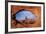 Utah, Arches National Park, Turret Arch Seen Through North Window-David Wall-Framed Photographic Print